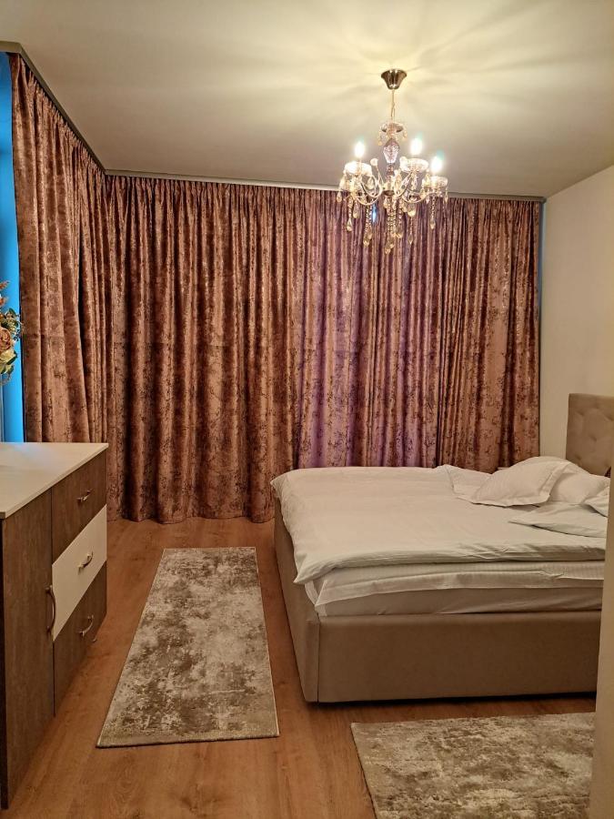 Monica Timisoara